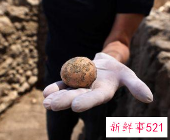 以色列发现保存完整的千年鸡蛋，保存在古粪坑内