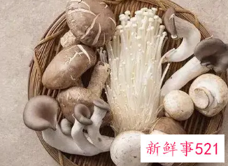 女人为什么要少吃菌菇