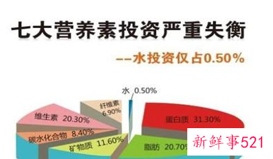 人体主要营养成分有哪些