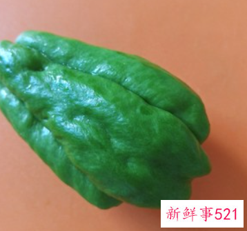 洋丝瓜怎么做好吃又简单