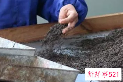 普洱生茶和熟茶的区别哪个好