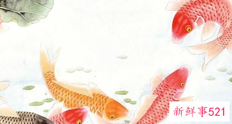 客厅什么样的背景图招财