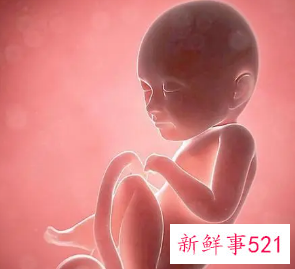 孕18周胎儿特别活跃