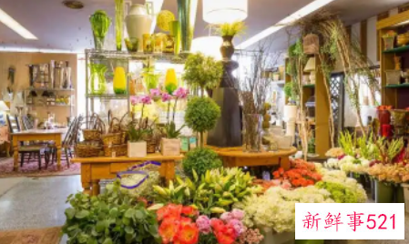 没经验开什么店最简容易