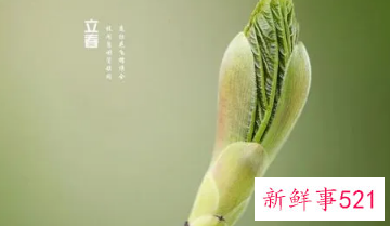 关于立春的古诗句