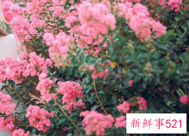 城府很深的女人的表现