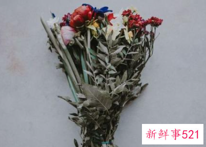 天蝎对感情痴情吗