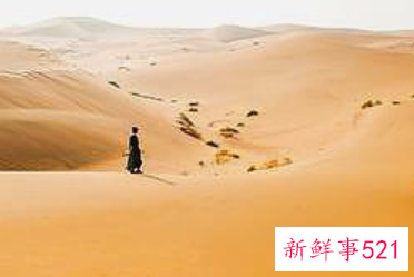 决定职场成功的十种积极心态