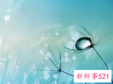 我的自画像作文200字