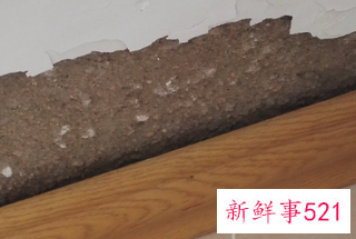 墙皮为啥脱落