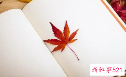 班干部竞选发言稿