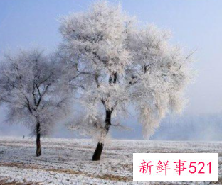 梦见朋友满身霜