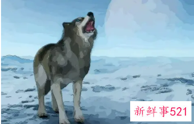 梦见和狼成为了好朋友是什么意思