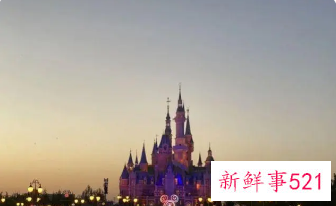 上海迪士尼核酸检测之夜现场是什么情况