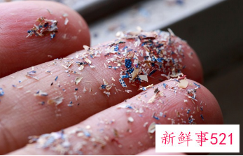 微塑料颗粒在人类血液中被发现