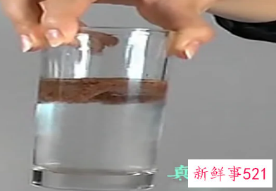 假海藻和真海藻的区别