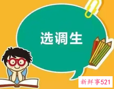 选调生和公务员的区别难度