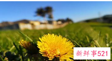 房地产评估报告有效期是多长时间