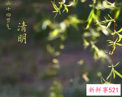 清明节不可以做的事情