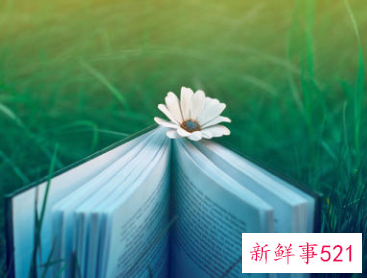 我的自画像作文200字