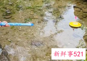 幼儿园夏天的活动有哪些