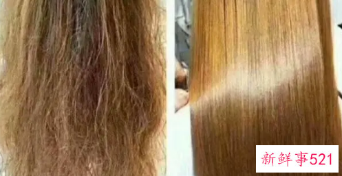 头发干枯毛躁小妙招