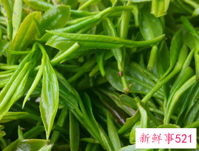 泡茶先倒水还是先倒茶