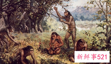 梦见猿人什么意思