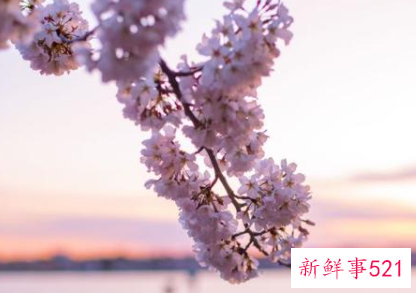 天蝎对感情痴情吗