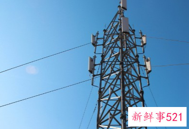 基站50米处辐射