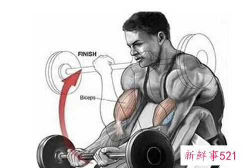 哑铃经典8个动作