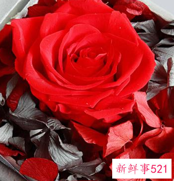 朋友结婚10周年送什么礼物好