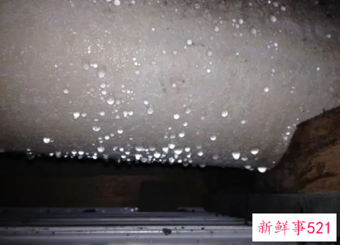 楼下卫生间顶全是水珠