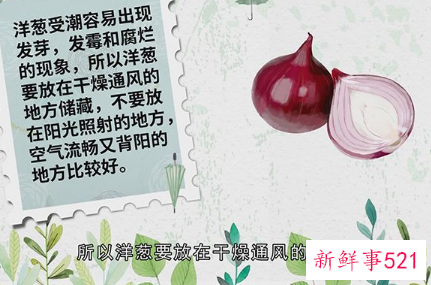 洋葱的储存方法