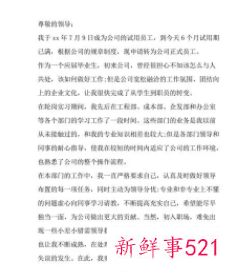 工作试用期总结范文简短