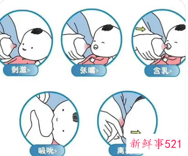 新生儿喂母乳的正确姿势教程