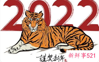 春节联欢晚会节目表