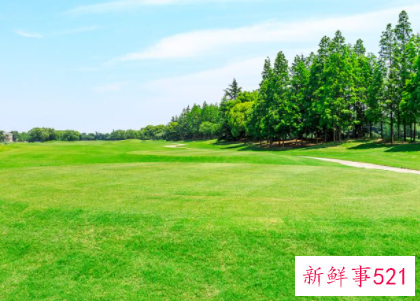 保护生态环境演讲稿题目