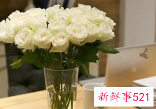 普通冷藏柜可以放鲜花吗