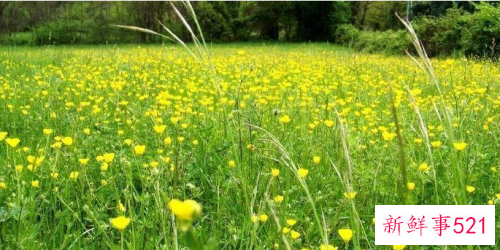 春天皮肤过敏怎么办