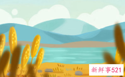 最受欢迎的星座女