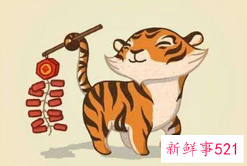 老虎女跟牛男属相配吗