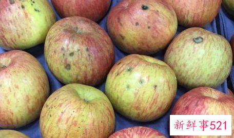 苹果表面有黑点能吃吗