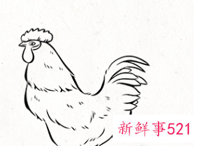 家门口被陌生人放了一个东西