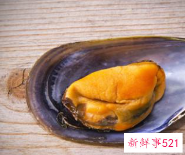 蚌壳有什么功效与作用