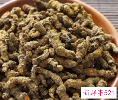 黄芩的功效与作用禁忌有哪些