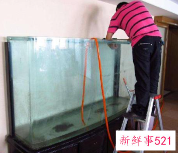 鱼缸怎么清洗小妙招