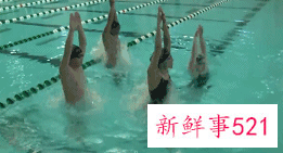 蝶泳慢动作分解