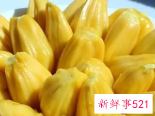 菠萝蜜的功效与作用及其营养价值