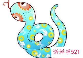 属蛇女二婚幸福吗